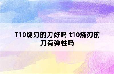 T10烧刃的刀好吗 t10烧刃的刀有弹性吗